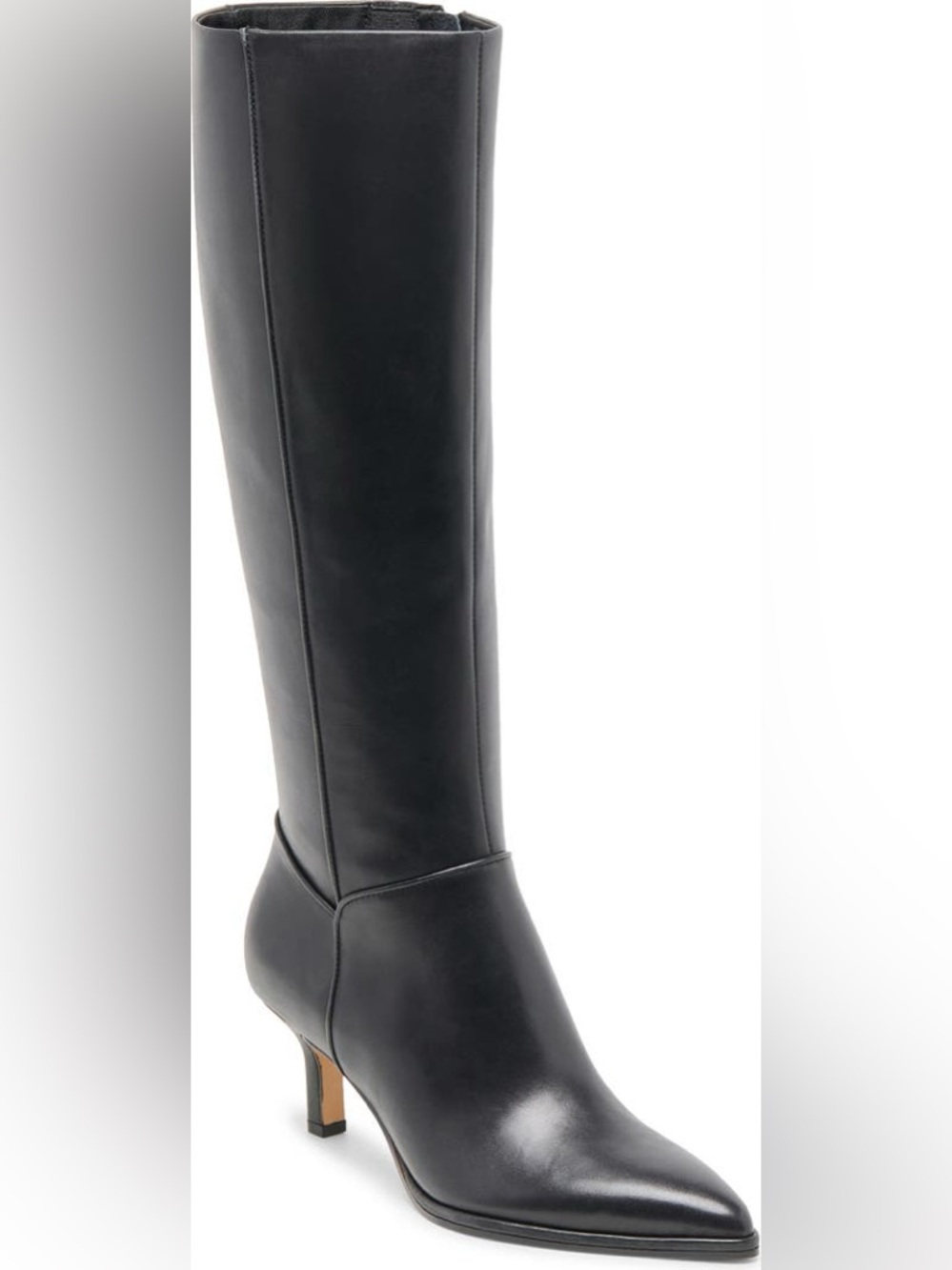 Dolce Vita Aldy Black Leather Pointed Boot